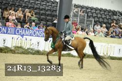 24R13_13283 thumbnail