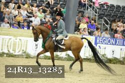 24R13_13285 thumbnail