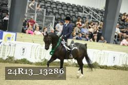 24R13_13286 thumbnail