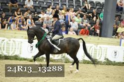 24R13_13288 thumbnail