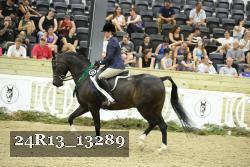 24R13_13289 thumbnail
