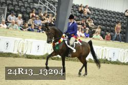 24R13_13294 thumbnail