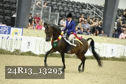 24R13_13295 thumbnail