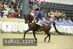 24R13_13297 thumbnail