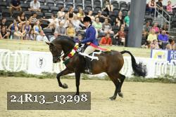 24R13_13298 thumbnail