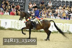 24R13_13299 thumbnail