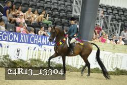 24R13_13304 thumbnail