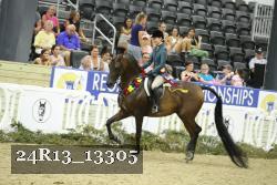 24R13_13305 thumbnail