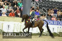 24R13_13307 thumbnail