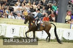 24R13_13308 thumbnail