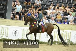 24R13_13309 thumbnail