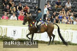 24R13_13311 thumbnail