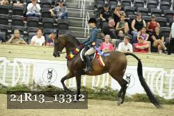 24R13_13312 thumbnail