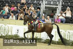 24R13_13314 thumbnail