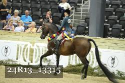 24R13_13315 thumbnail