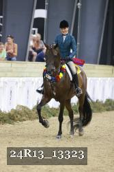 24R13_13323 thumbnail