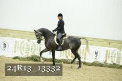 24R13_13332 thumbnail
