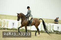 24R13_13333 thumbnail