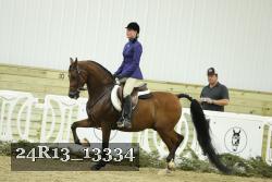24R13_13334 thumbnail