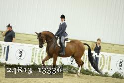 24R13_13336 thumbnail