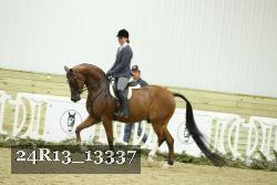 24R13_13337 thumbnail