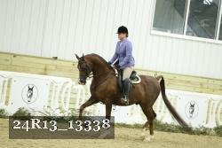 24R13_13338 thumbnail