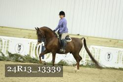 24R13_13339 thumbnail