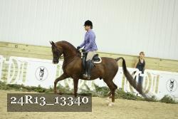 24R13_13340 thumbnail