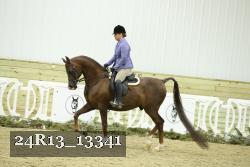 24R13_13341 thumbnail