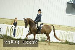 24R13_13342 thumbnail