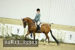 24R13_13343 thumbnail