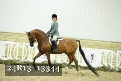 24R13_13344 thumbnail