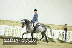 24R13_13346 thumbnail