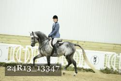 24R13_13347 thumbnail