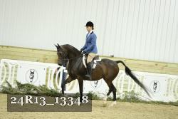 24R13_13348 thumbnail
