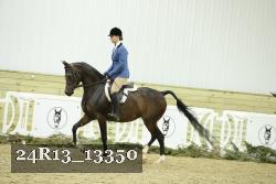 24R13_13350 thumbnail