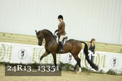 24R13_13351 thumbnail