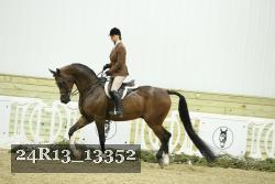 24R13_13352 thumbnail