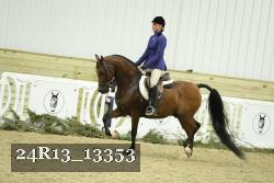 24R13_13353 thumbnail