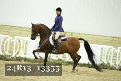24R13_13355 thumbnail