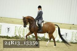 24R13_13356 thumbnail