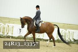 24R13_13357 thumbnail