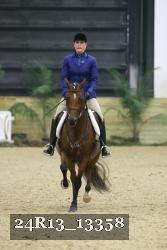 24R13_13358 thumbnail