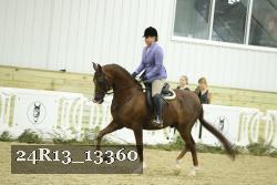 24R13_13360 thumbnail