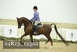 24R13_13362 thumbnail