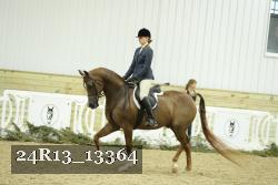 24R13_13364 thumbnail