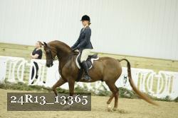 24R13_13365 thumbnail