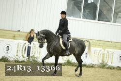 24R13_13366 thumbnail