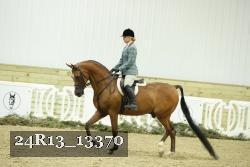 24R13_13370 thumbnail
