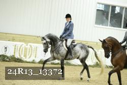 24R13_13372 thumbnail